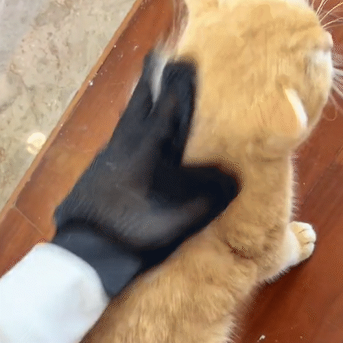 Guante quita pelo para mascotas