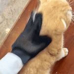 Guante quita pelo para mascotas